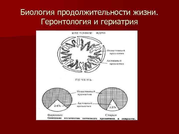 Биология продолжительности жизни. Геронтология и гериатрия 