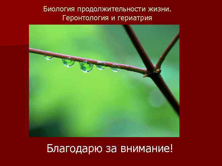 Биология продолжительности жизни. Геронтология и гериатрия Благодарю за внимание! 