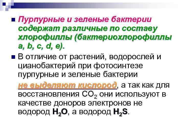 Пурпурные и зеленые бактерии содержат различные по составу хлорофиллы (бактериохлорофиллы a, b, c, d,