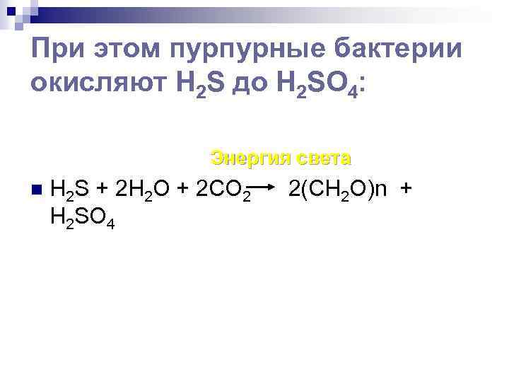 При этом пурпурные бактерии окисляют Н 2 S до H 2 SO 4: Энергия