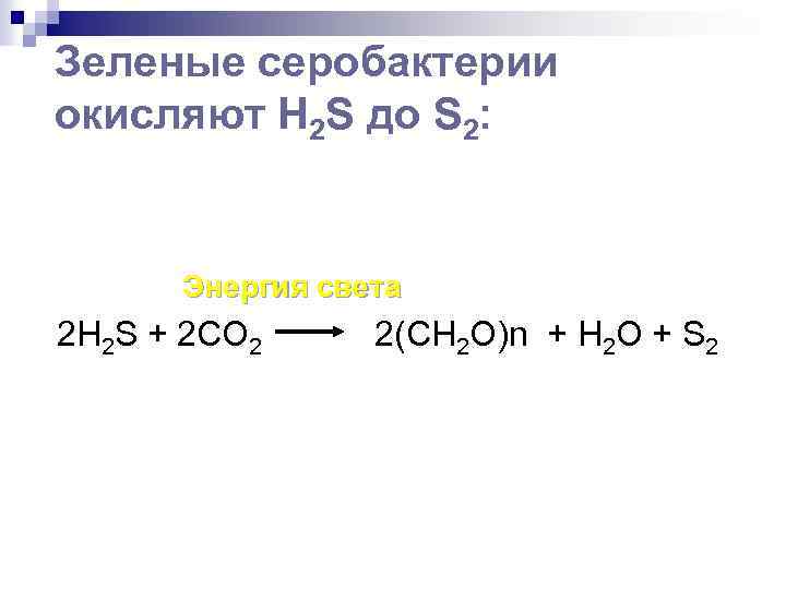 Зеленые серобактерии окисляют Н 2 S до S 2: Энергия света 2 Н 2