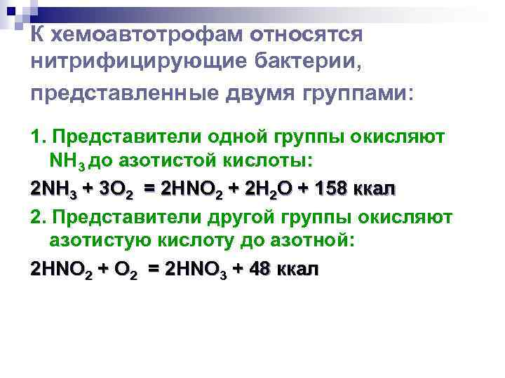 К хемоавтотрофам относятся нитрифицирующие бактерии, представленные двумя группами: 1. Представители одной группы окисляют NH