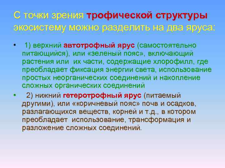 С точки зрения трофической структуры экосистему можно разделить на два яруса: • 1) верхний