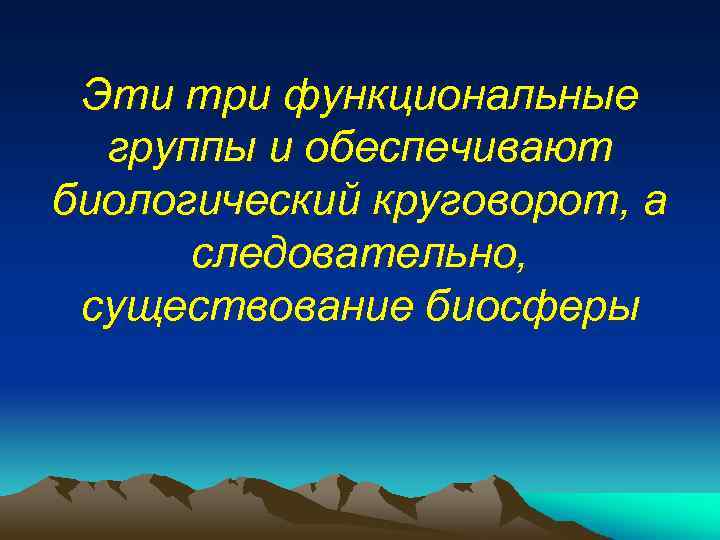 Эти три функциональные группы и обеспечивают биологический круговорот, а следовательно, существование биосферы 
