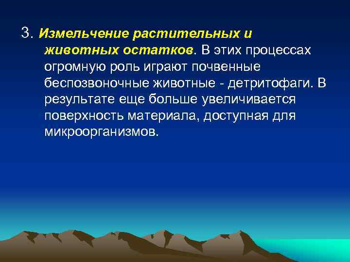 3. Измельчение растительных и животных остатков. В этих процессах огромную роль играют почвенные беспозвоночные