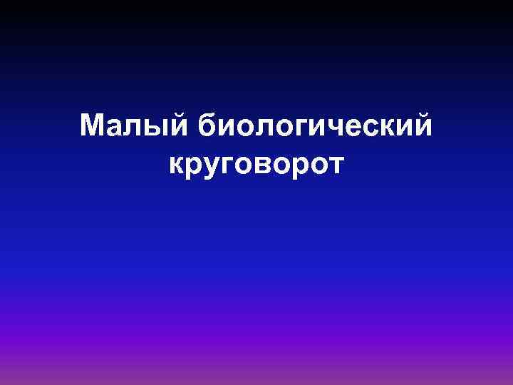 Малый биологический круговорот 