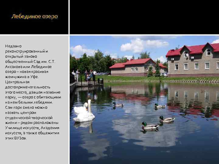 Лебединое озеро Недавно реконструированный и открытый заново общественный Сад им. С. Т. Аксакова или