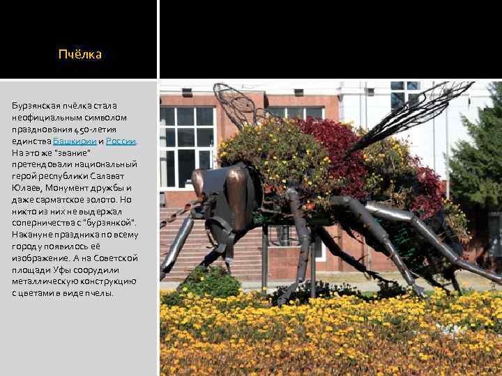  Пчёлка Бурзянская пчёлка стала неофициальным символом празднования 450 -летия единства Башкирии и России.