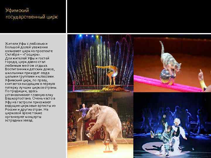 Уфимский государственный цирк Жители Уфы с любовью и большой долей уважения называют цирк на