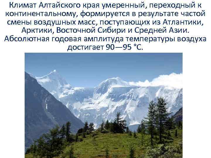 Климат Алтайского края умеренный, переходный к континентальному, формируется в результате частой смены воздушных масс,