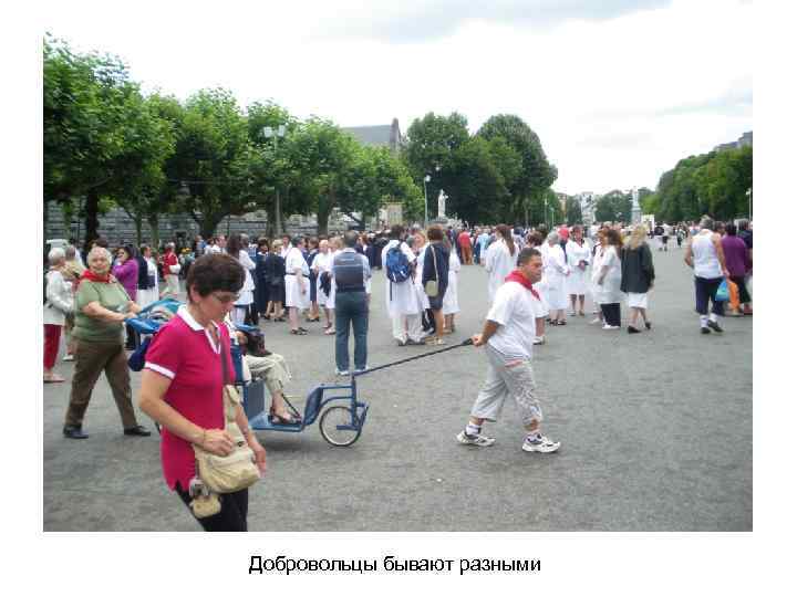 Добровольцы бывают разными 