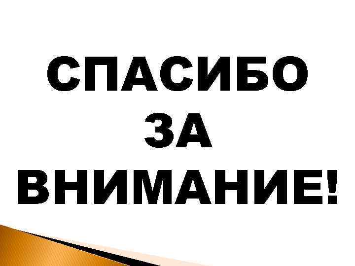 СПАСИБО ЗА ВНИМАНИЕ! 