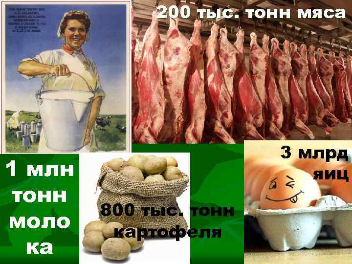 200 тыс. тонн мяса 1 млн тонн моло ка 3 млрд яиц 800 тыс.