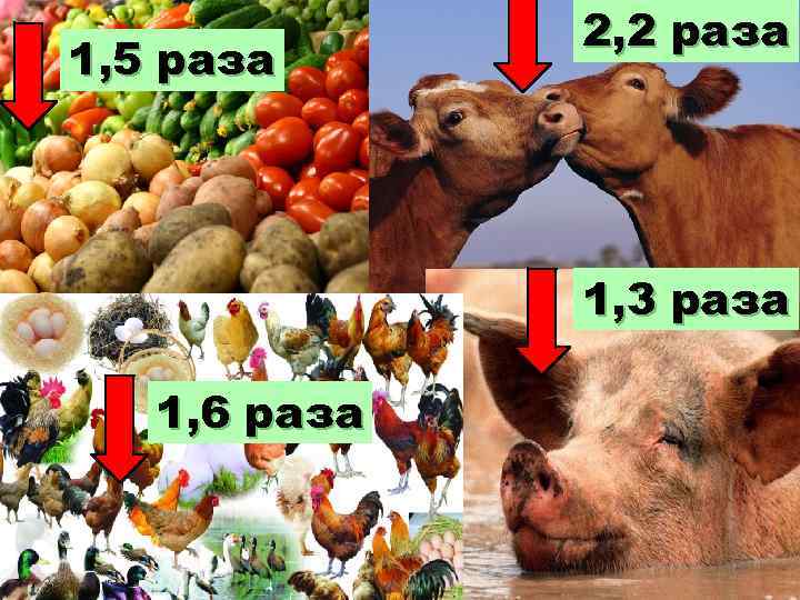 1, 5 раза 2, 2 раза 1, 3 раза 1, 6 раза 