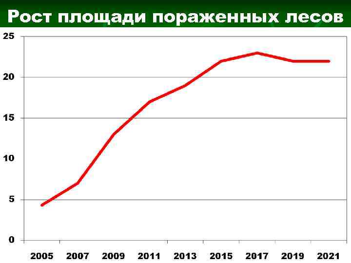 Рост площади пораженных лесов 