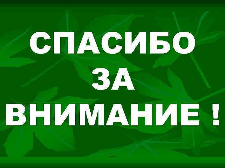СПАСИБО ЗА ВНИМАНИЕ ! 