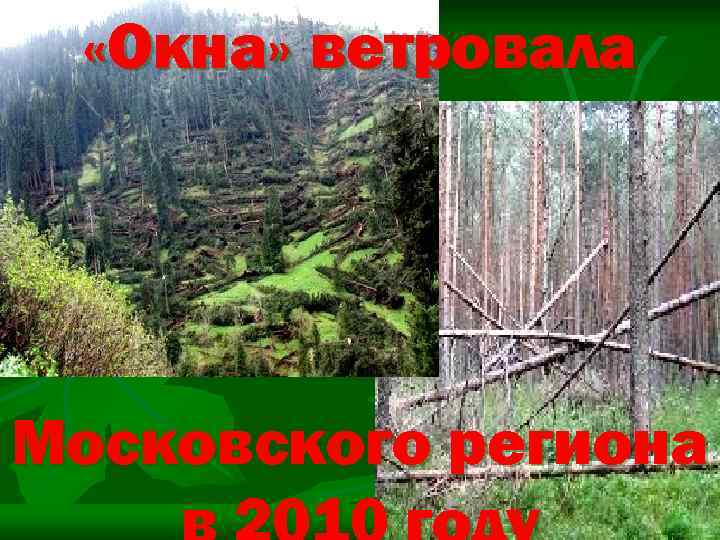  «Окна» ветровала Московского региона 