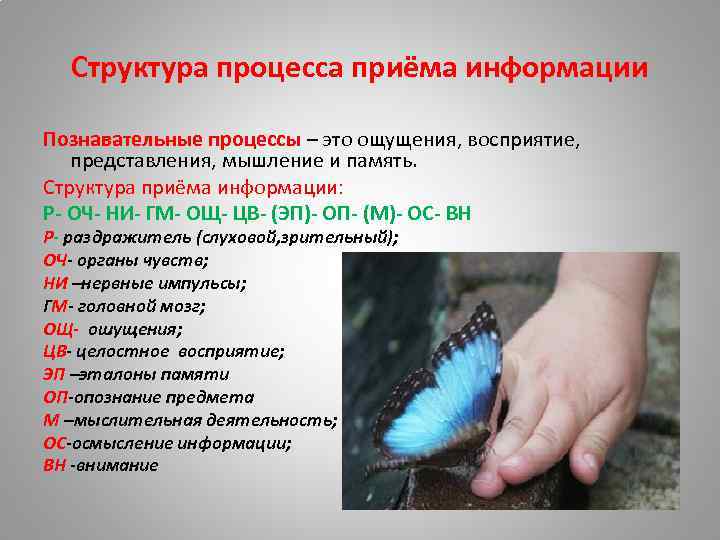 Структура процесса приёма информации Познавательные процессы – это ощущения, восприятие, представления, мышление и память.