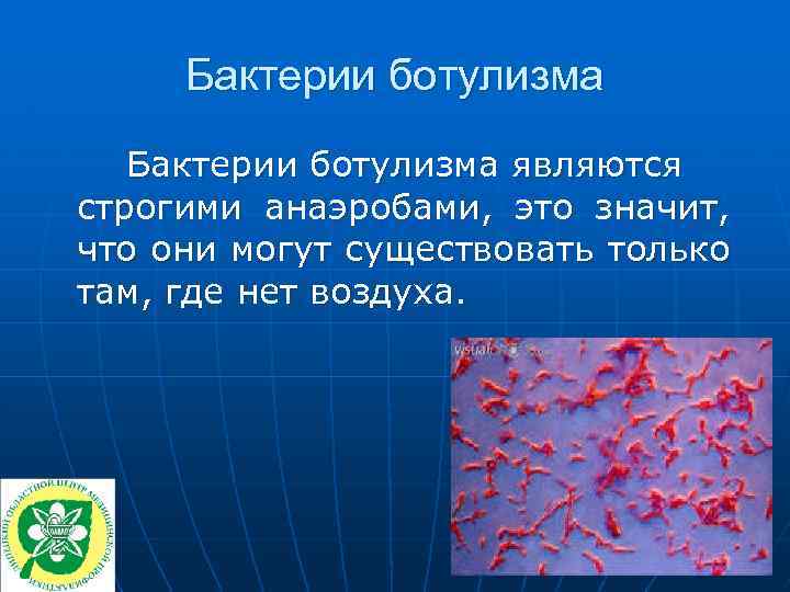 Бактерии ботулизма являются строгими анаэробами, это значит, что они могут существовать только там, где