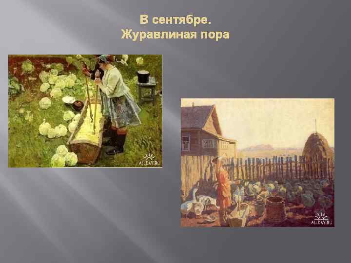 В сентябре. Журавлиная пора 