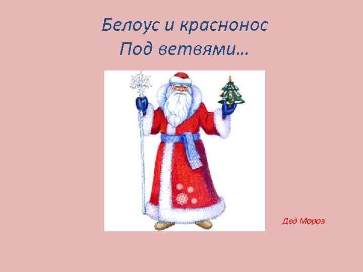 Белоус и краснонос Под ветвями… Дед Мороз 