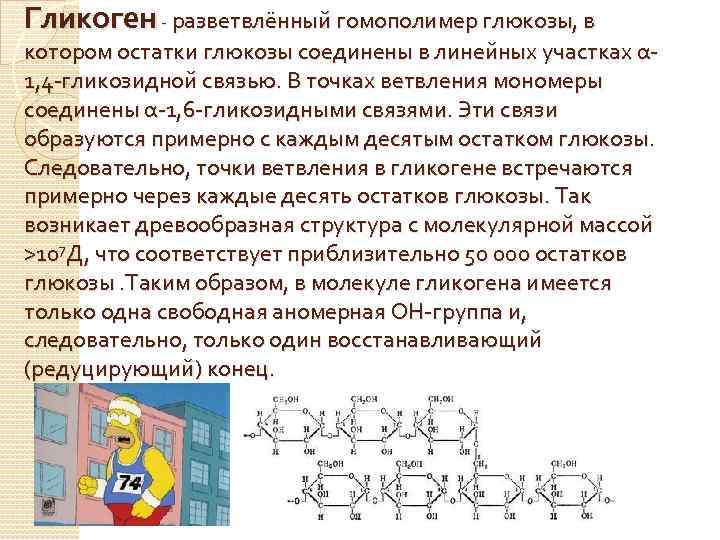 Биологическая роль гликогена