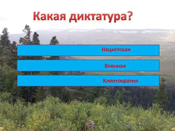 Какая диктатура? Нацистская Военная Клептократия 
