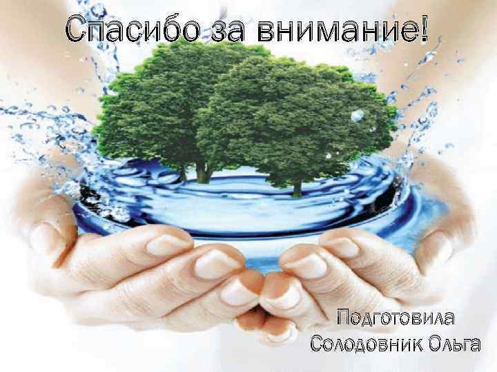 Спасибо за внимание! Подготовила Солодовник Ольга 