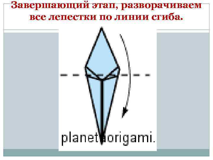 Завершающий этап, разворачиваем все лепестки по линии сгиба. 