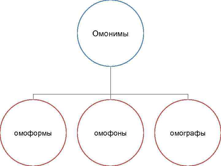 Омонимы омоформы омофоны омографы 