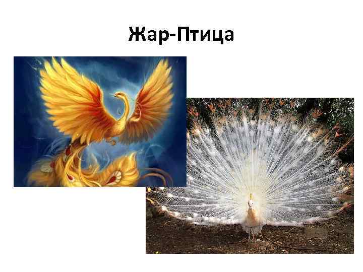 Жар-Птица 