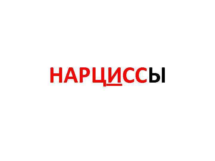 НАРЦИССЫ 