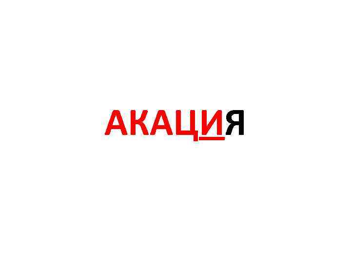 АКАЦИЯ 