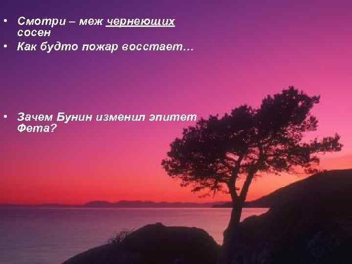  • Смотри – меж чернеющих сосен • Как будто пожар восстает… • Зачем