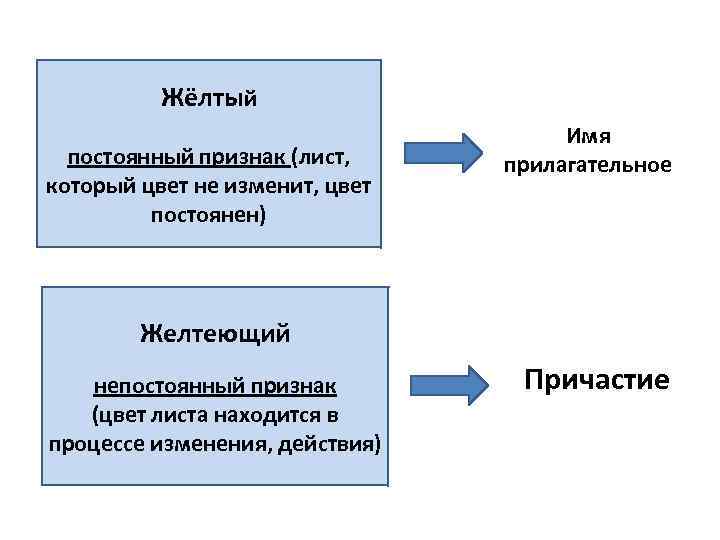 Жёлтый постоянный признак (лист, который цвет не изменит, цвет постоянен) Имя прилагательное Желтеющий непостоянный