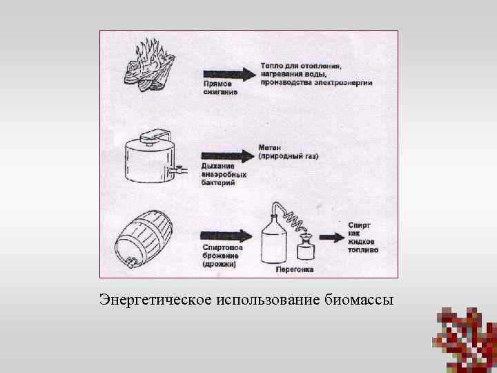 Энергетическое использование биомассы 