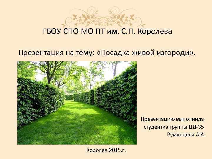 ГБОУ СПО МО ПТ им. С. П. Королева Презентация на тему: «Посадка живой изгороди»