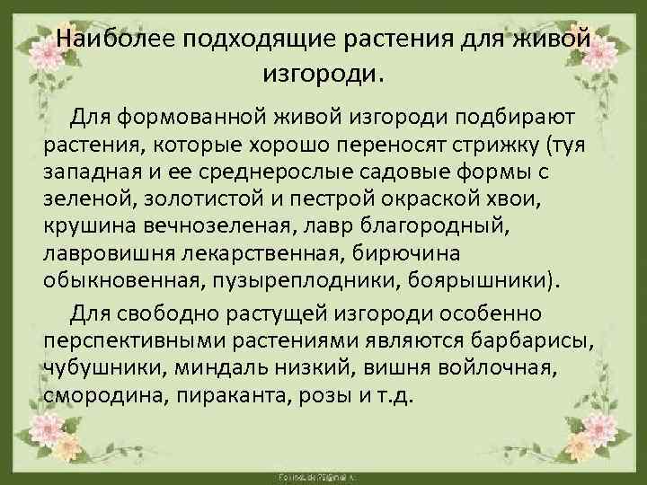 Наиболее подходящие растения для живой изгороди. Для формованной живой изгороди подбирают растения, которые хорошо