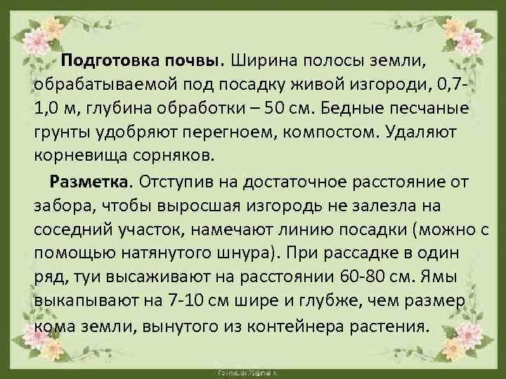  Подготовка почвы. Ширина полосы земли, обрабатываемой под посадку живой изгороди, 0, 71, 0