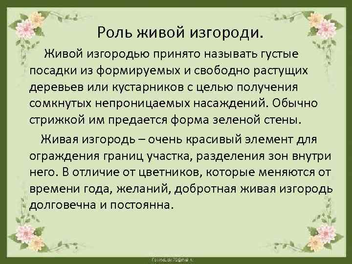 Роль живой изгороди. Живой изгородью принято называть густые посадки из формируемых и свободно растущих