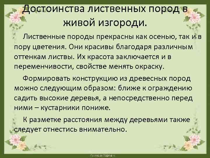 Достоинства лиственных пород в живой изгороди. Лиственные породы прекрасны как осенью, так и в