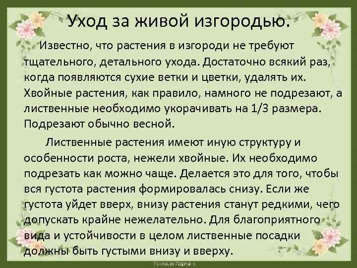 Уход за живой изгородью. Известно, что растения в изгороди не требуют тщательного, детального ухода.