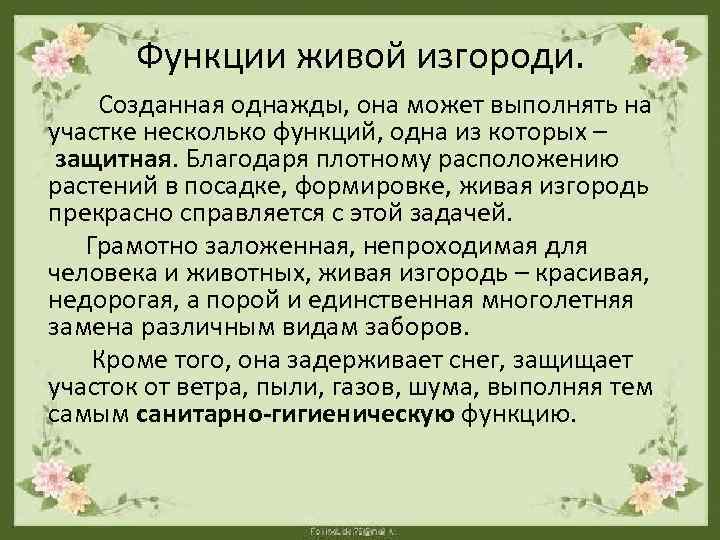 Функции живой изгороди. Созданная однажды, она может выполнять на участке несколько функций, одна из