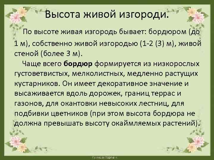 Высота живой изгороди. По высоте живая изгородь бывает: бордюром (до 1 м), собственно живой