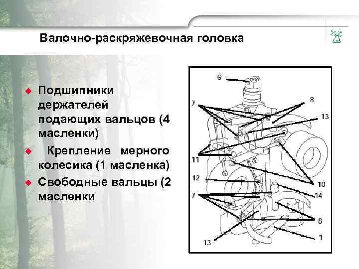 Валочно-раскряжевочная головка u u u Подшипники держателей подающих вальцов (4 масленки) Крепление мерного колесика
