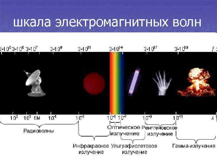 Какая из цифр соответствует на рисунке диапазону радиоволн на шкале электромагнитных волн