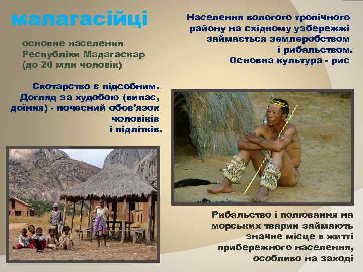 малагасійці основне населення Республіки Мадагаскар (до 20 млн чоловік) Населення вологого тропічного району на