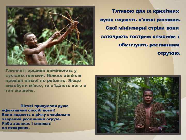 Тятивою для їх крихітних луків служать в'юнкі рослини. Свої мініатюрні стріли вони заточують гострим