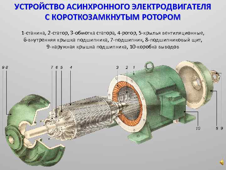 Схема пуска асинхронного двигателя с короткозамкнутым ротором