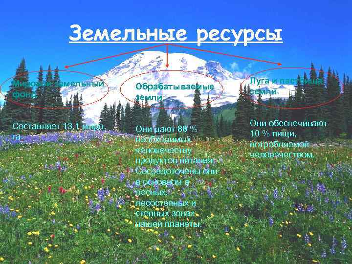Земельные ресурсы Мировой земельный фонд. Обрабатываемые земли. Составляет 13, 1 млрд. га. Они дают